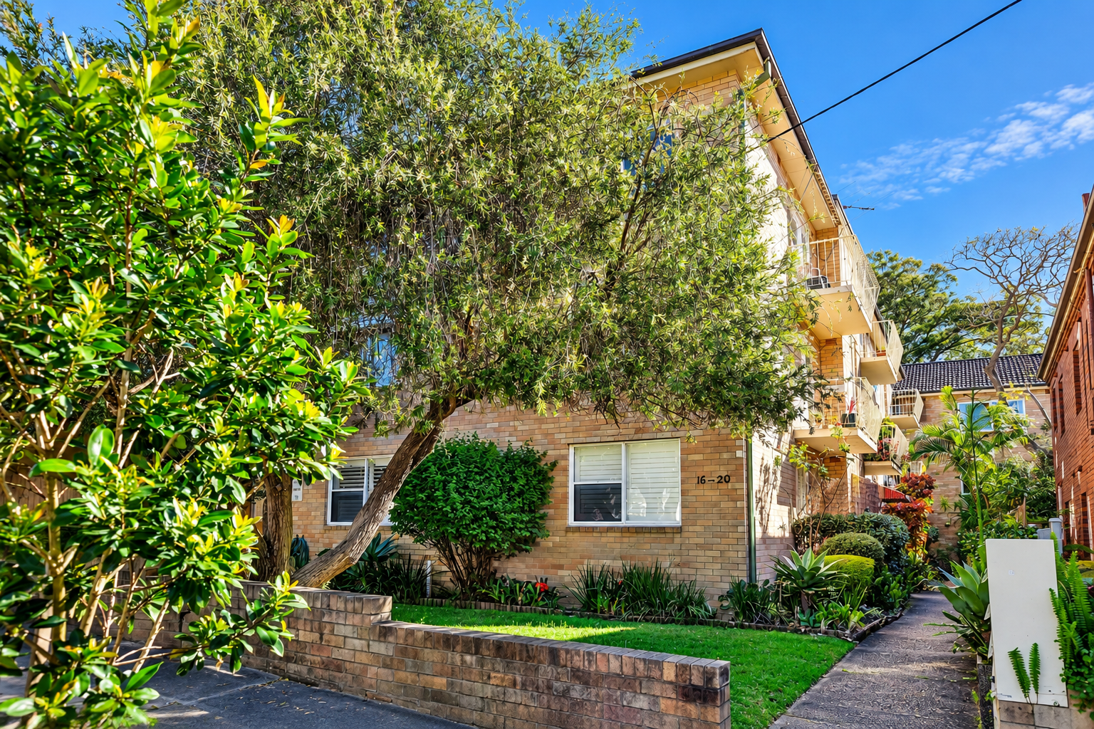 14/16-20 Park Avenue, Randwick Leased by Bradfield Badgerfox - image 1