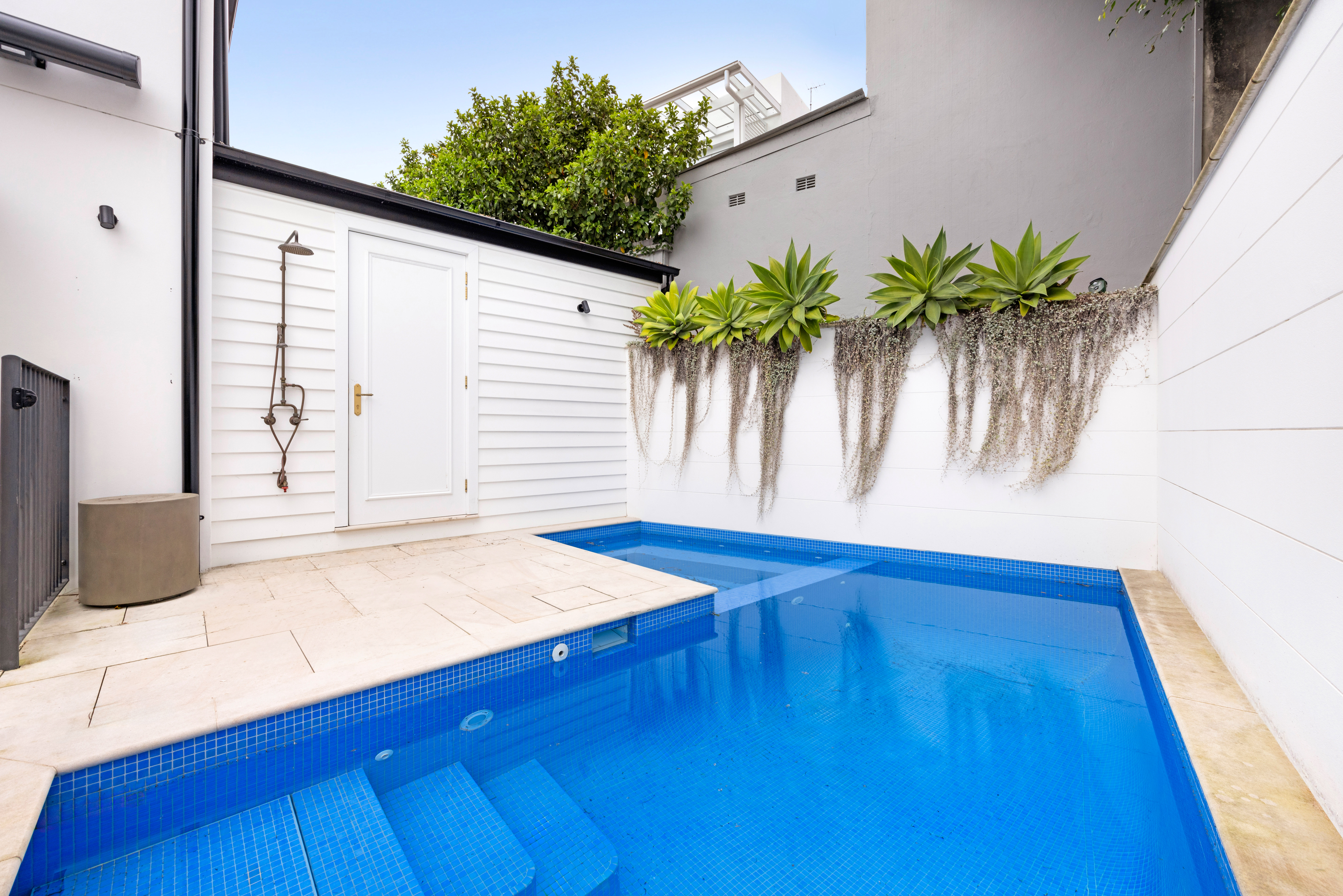 19 Epping Road, Double Bay For Lease by Bradfield Badgerfox - image 1
