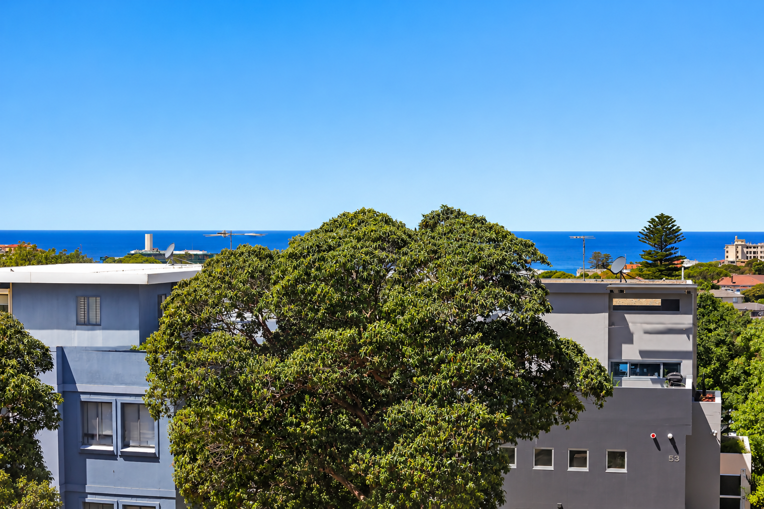 5/46 Birriga Road, Bellevue Hill For Lease by Bradfield Badgerfox - image 1