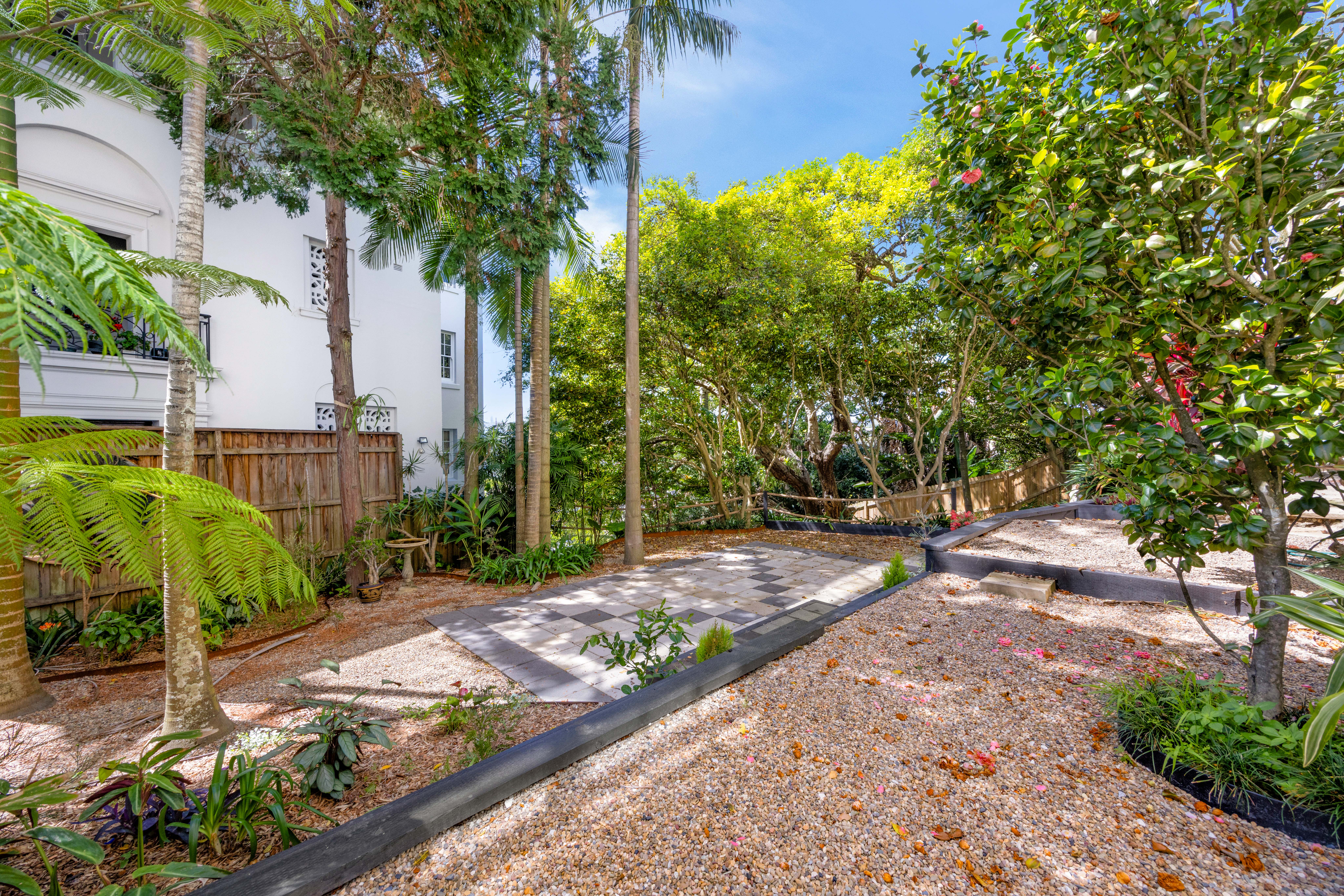1/311A Edgecliff Road, Woollahra For Lease by Bradfield Badgerfox - image 1