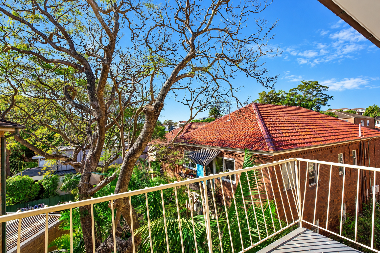 14/16-20 Park Avenue, Randwick Leased by Bradfield Badgerfox - image 1