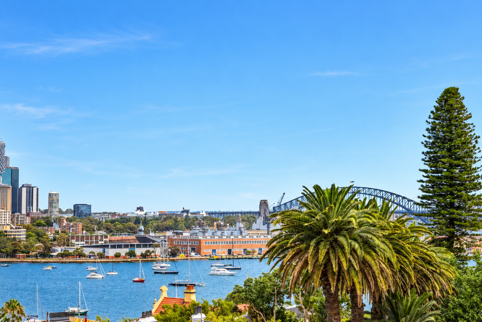 10 Hampden Avenue, Darling Point For Lease by Bradfield Badgerfox - image 1