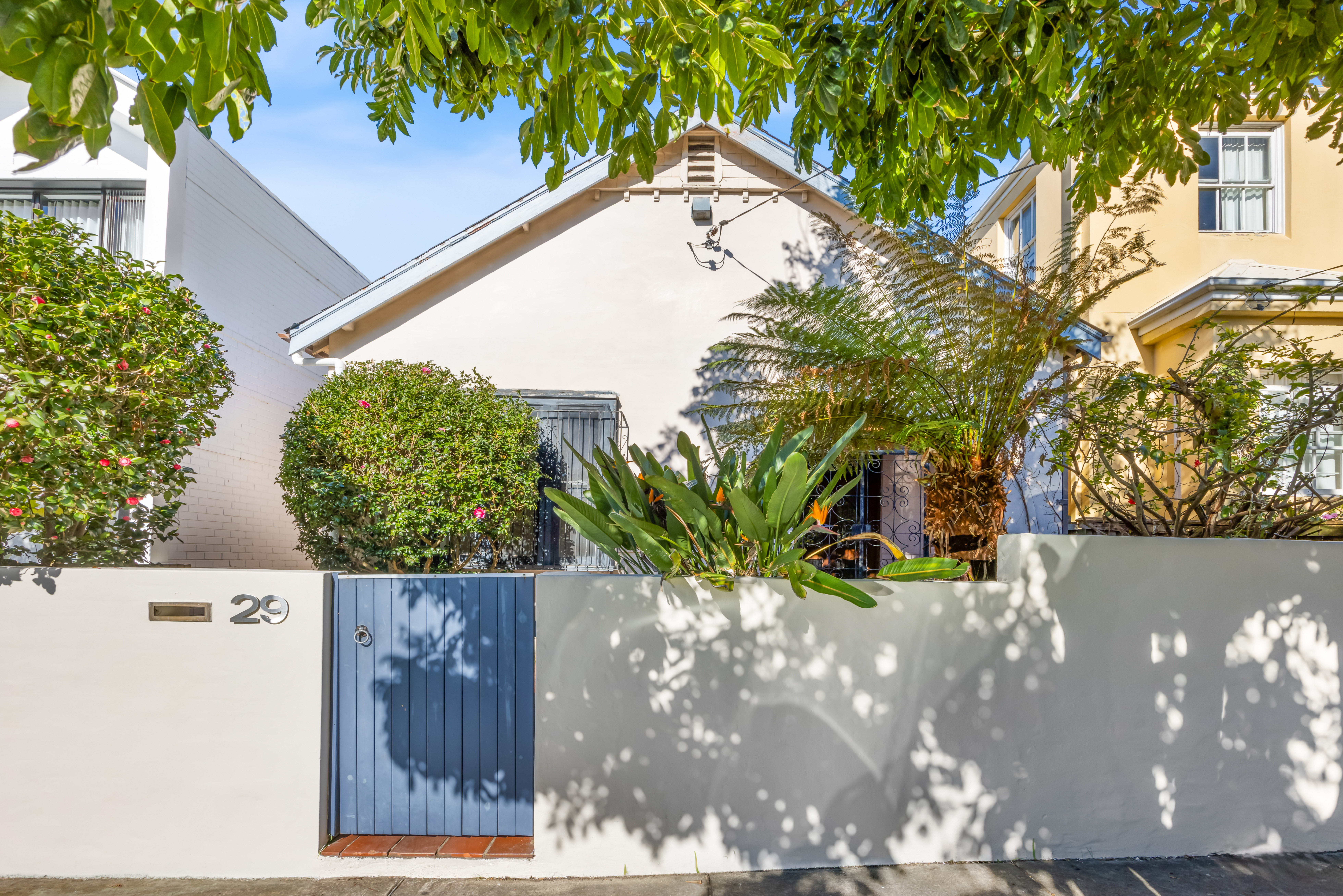 29 Kenilworth Street, Bondi Junction For Lease by Bradfield Badgerfox - image 1