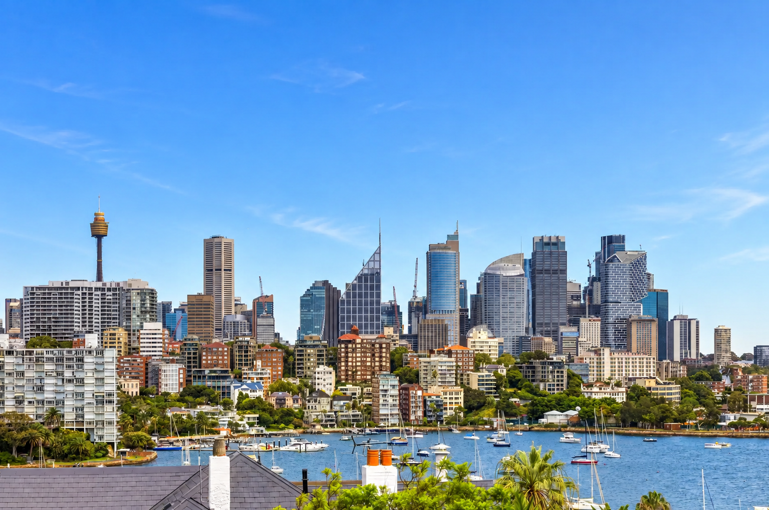 10 Hampden Avenue, Darling Point For Lease by Bradfield Badgerfox - image 1