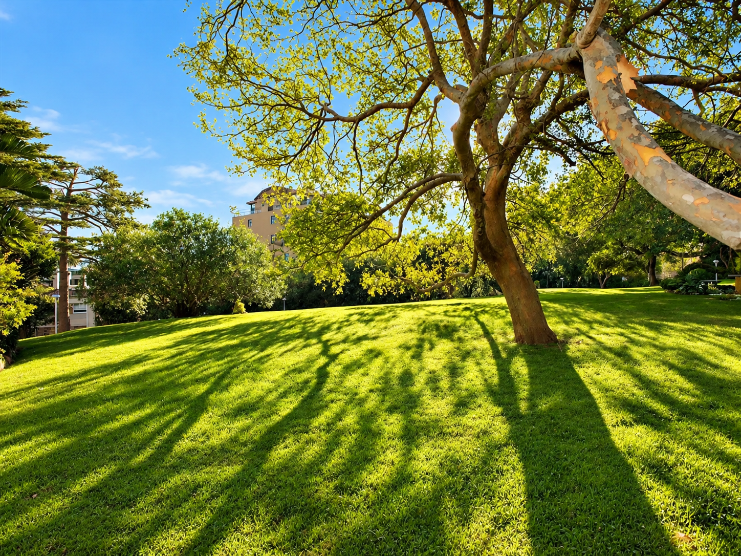 1D/3 Darling Point Road, Darling Point Leased by Bradfield Badgerfox - image 1
