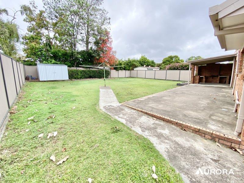 15 Riesling Street, Thornlands For Lease by Aurora Property - image 16
